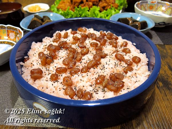 2025/11/1mÔ[̐Ԕсn