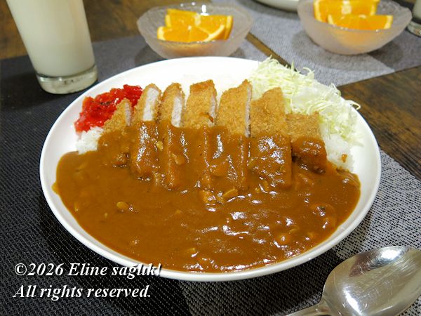 2026/1/22�m�J�c�J���[�n