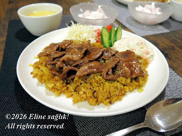 2026/2/14�m�I���G���^�����C�X�n