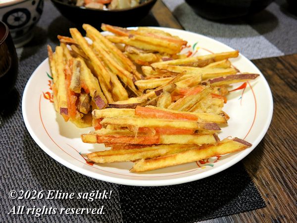 2026/2/20�m���ˁn