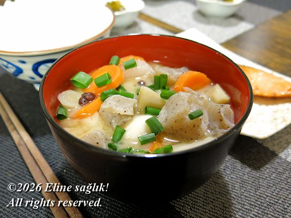 2026/2/8�m�����Ə`�n