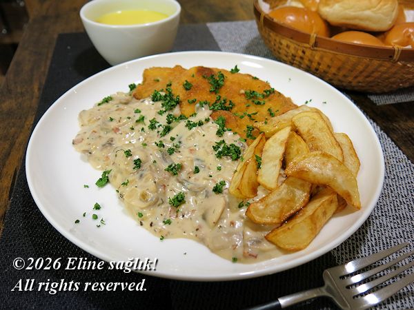 2026/3/11�m�C�F�[�K�[�V���j�b�c�F���n