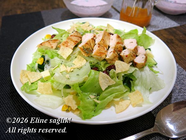 2026/4/12�m�T���^�t�F�T���_�n